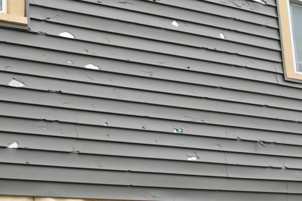 Best Vinyl Siding Installation  in Sault Ste Marie, MI